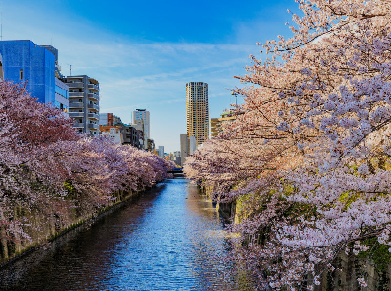 MEGURO
