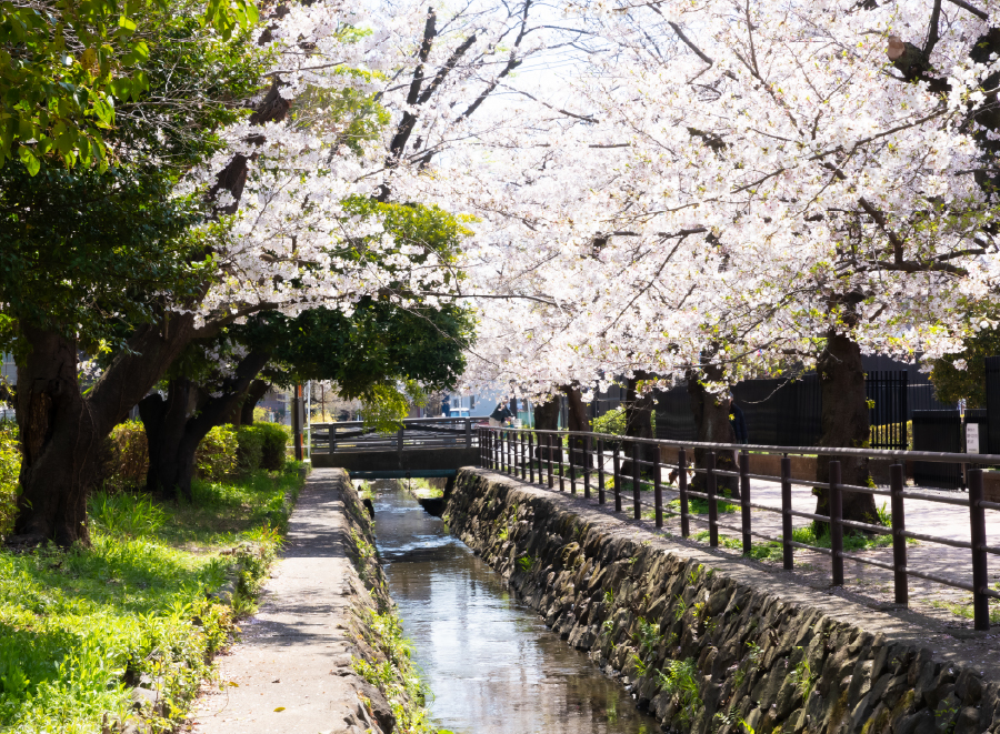 中原平和公園