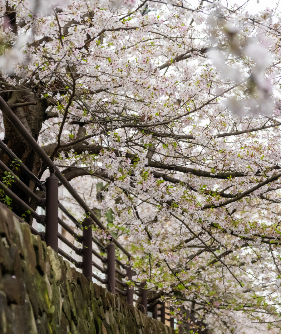 中原平和公園