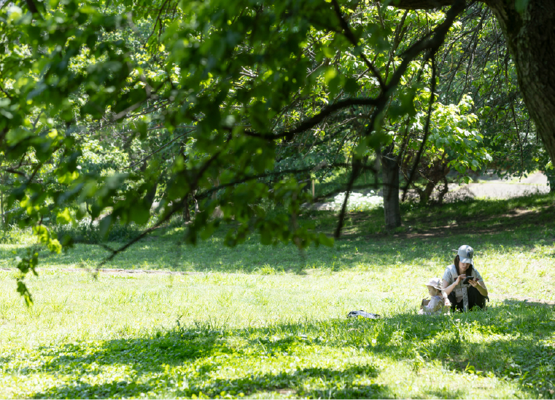 日吉公園